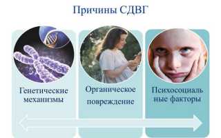 Что за болезнь синдром дефицита внимания