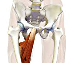ARS синдром ARS синдром