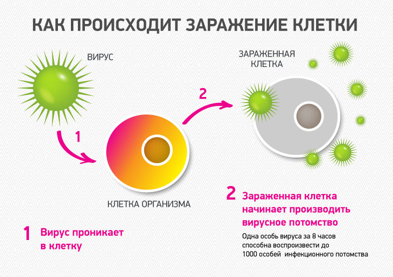 заражение вирусом