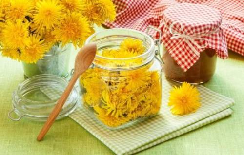 нектар из одуванчика