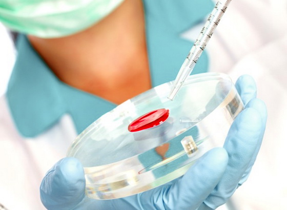 Анализ крови при гепатите с