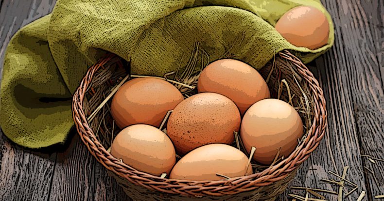 куриные яйца