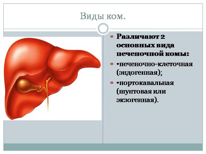 печеночная кома