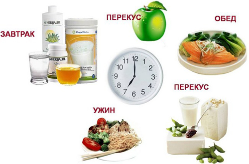 Соблюдать график питания