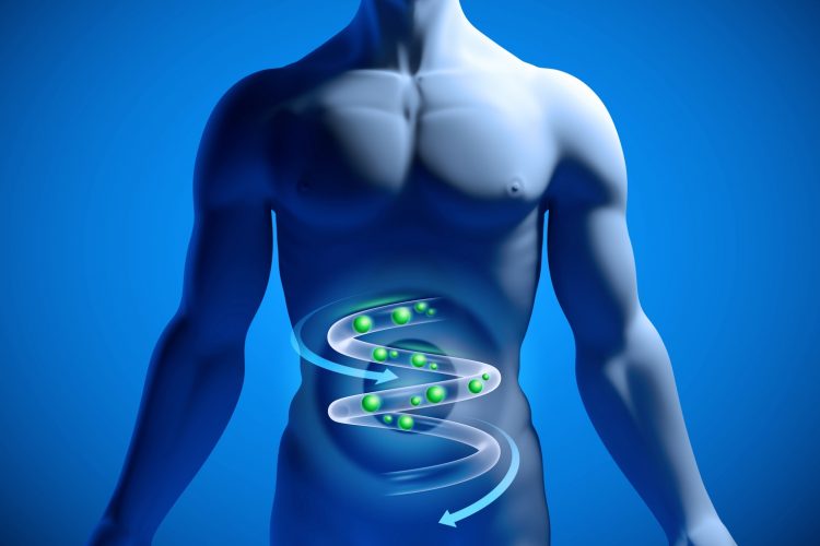 исключить вероятность повышенного газообразования перед узи