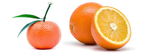 мандарин апельсин