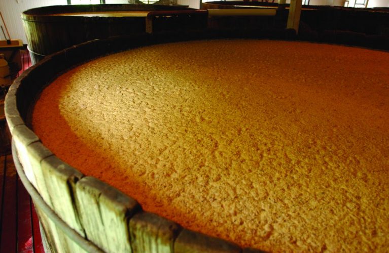 Брожение текилы в чане