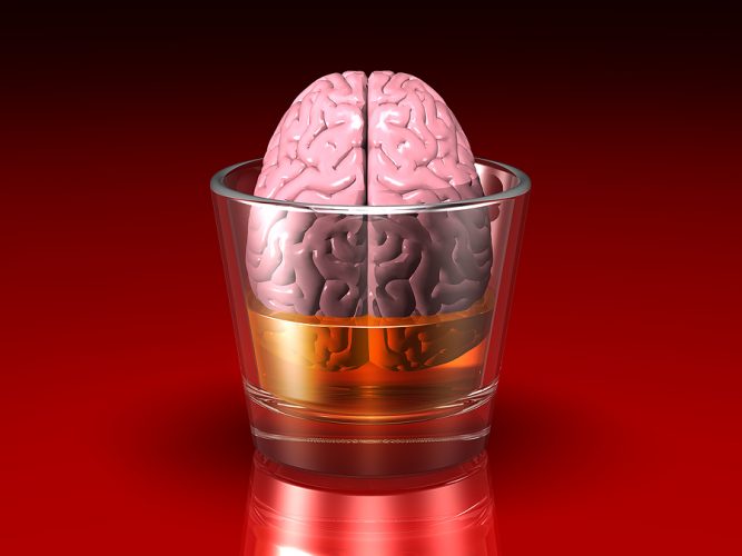 Особенности влияние спиртного на мозг женщин
