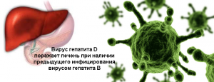 гепатит д