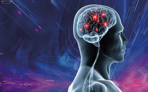 валерьянка успокаивает нервную систему