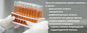 Что такое панкреатическая амилаза
