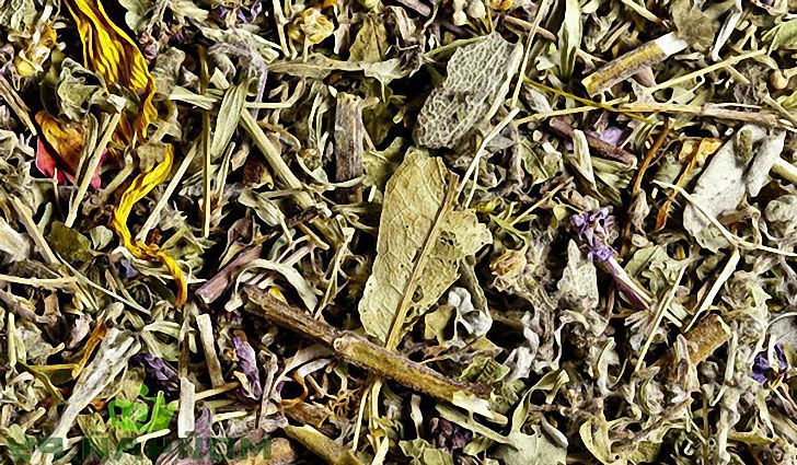 Эффективность лекарственных трав