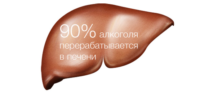 пиртные напитки крайне негативно влияют на печень