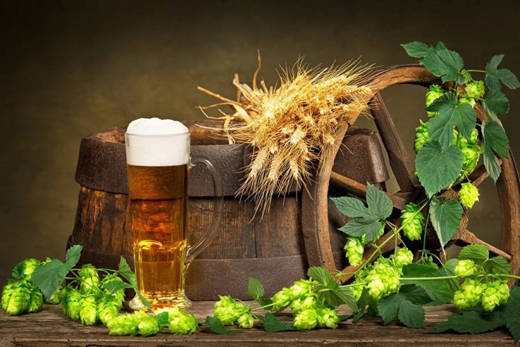солод и хмель