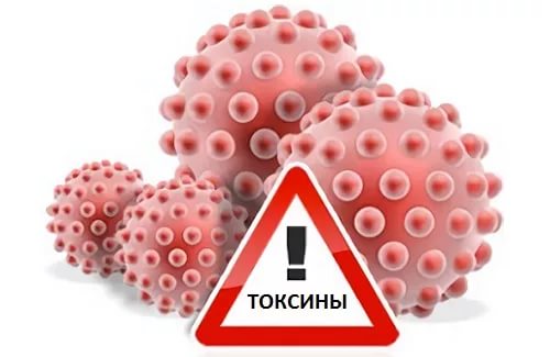 интоксикация организма