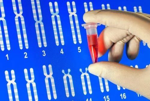 исследование генома