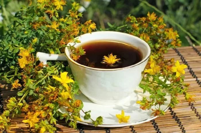 Травы помогают нормализовать работу печени