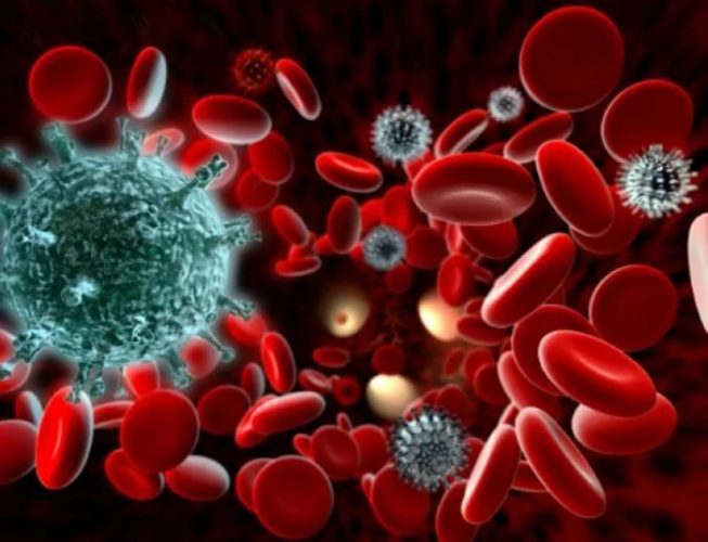 Антитела к гепатиту Б