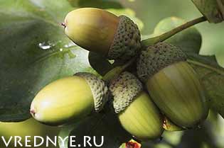 Как бросить пить алкоголь: народные средства и рецепты