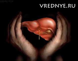 Как вылечить печень после алкоголя Как вылечить печень после алкоголя