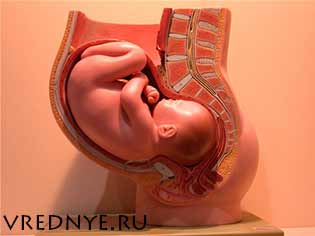 Как влияет курение на беременность – основные моменты