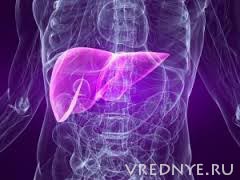 восстановление печени после алкоголя восстановление печени после алкоголя