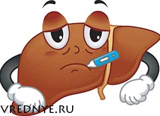 Как защитить печень от алкоголя – минимизируем ущерб