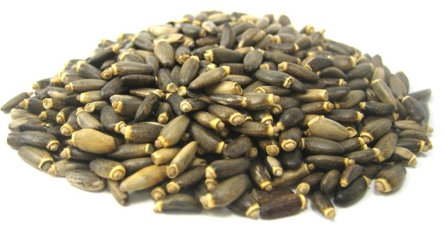 Плоды (семена) расторопши пятнистой