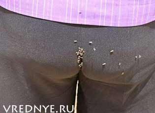 Муж пердит, пукает и не стесняется: что делать