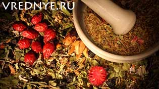 Народные средства от алкоголизма во всём многообразии