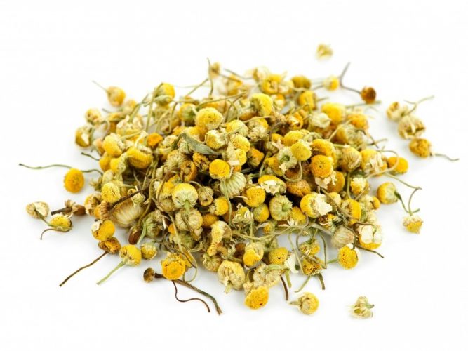 ромашка при циррозе