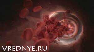 вред алкоголя на организм человека вред алкоголя на организм человека