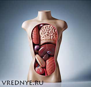 Влияние курения на организм человека – проблема повышенных масштабов