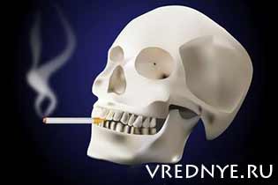 Влияние курения на организм человека – проблема повышенных масштабов
