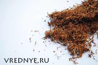 Вырабатывает ли организм никотин – или это миф?