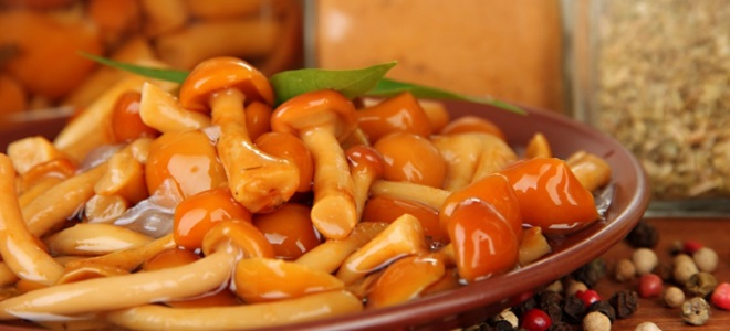 Что сделать с опятами на зиму