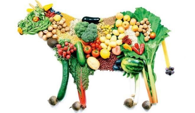 Дайте себе время, чтобы освоиться