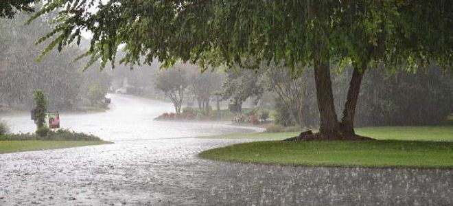 дождь во сне