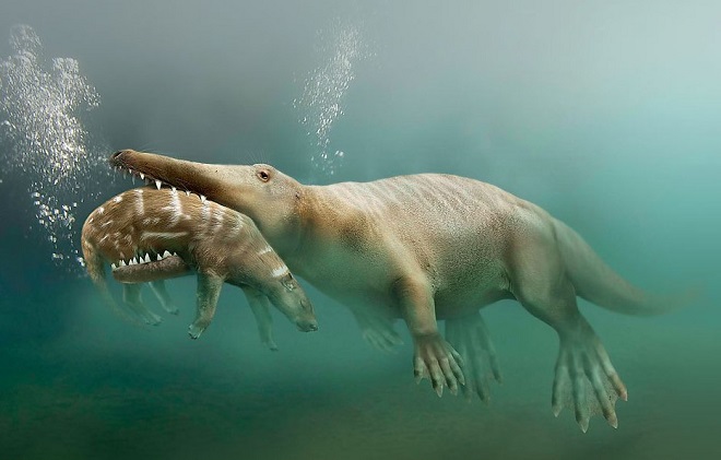 эволюционная теория чарльза дарвина