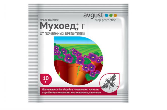 Мухоед - средство от луковой мухи Мухоед - средство от луковой мухи