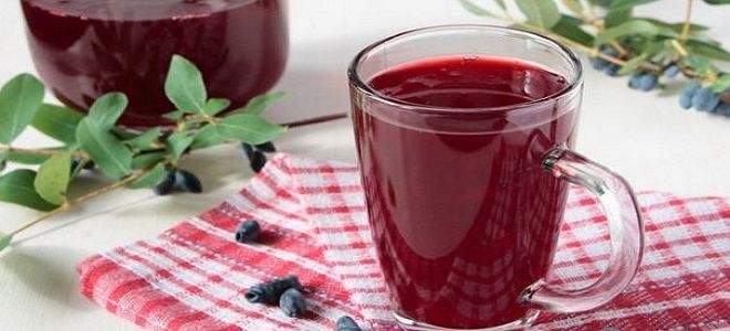 рецепт компота из жимолости на зиму рецепт компота из жимолости на зиму