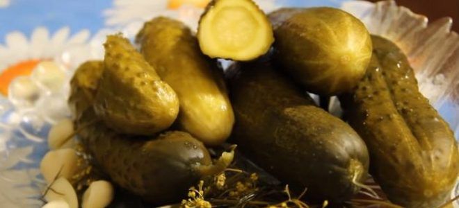 фото10 рецепт соления огурцов с водкой