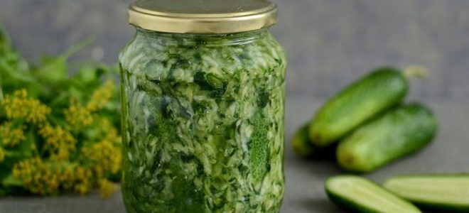 соленые огурцы в собственном соку на зиму соленые огурцы в собственном соку на зиму