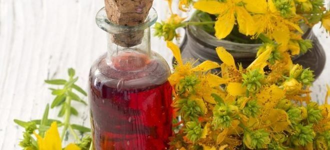 настойка зверобоя настойка зверобоя