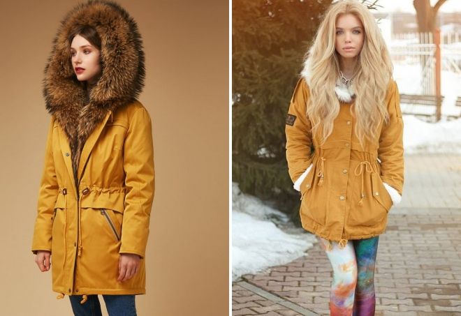 парка горчичного цвета парка горчичного цвета