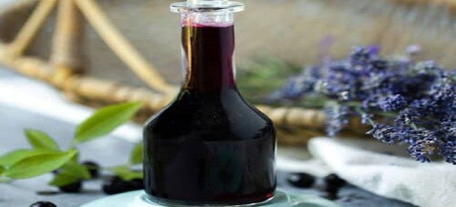 сок из жимолости на зиму сок из жимолости на зиму