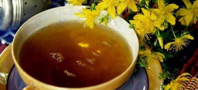 отвар зверобоя отвар зверобоя