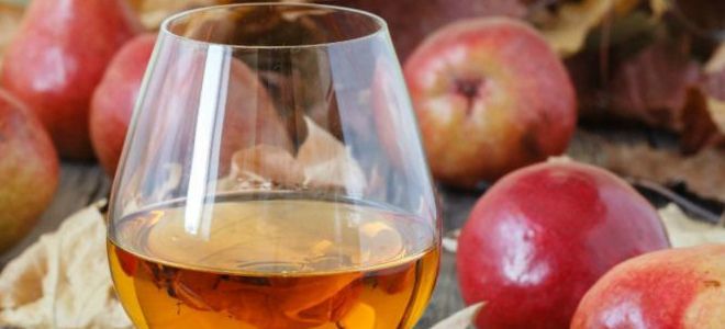 домашнее вино из яблок домашнее вино из яблок