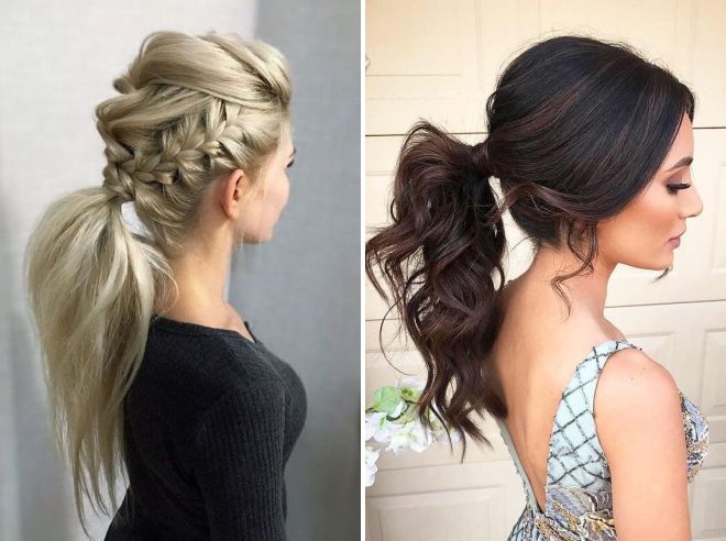 хвосты хвосты