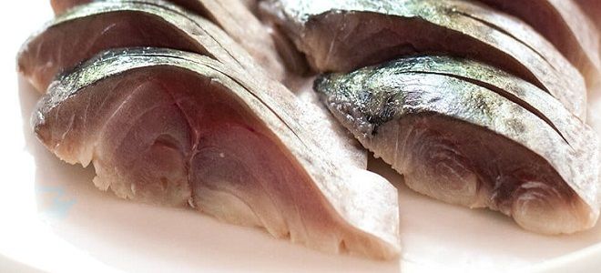 фото13 рецепт скумбрии в соевом соусе